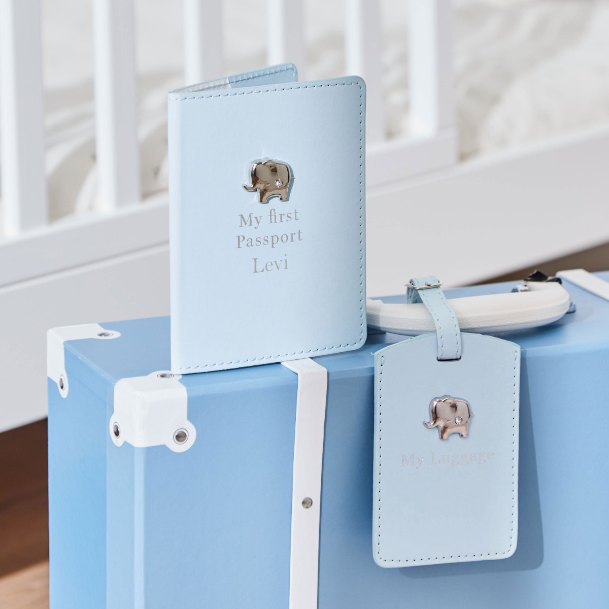 Personalised Blue Baby Passport Holder & Luggage Tag Set