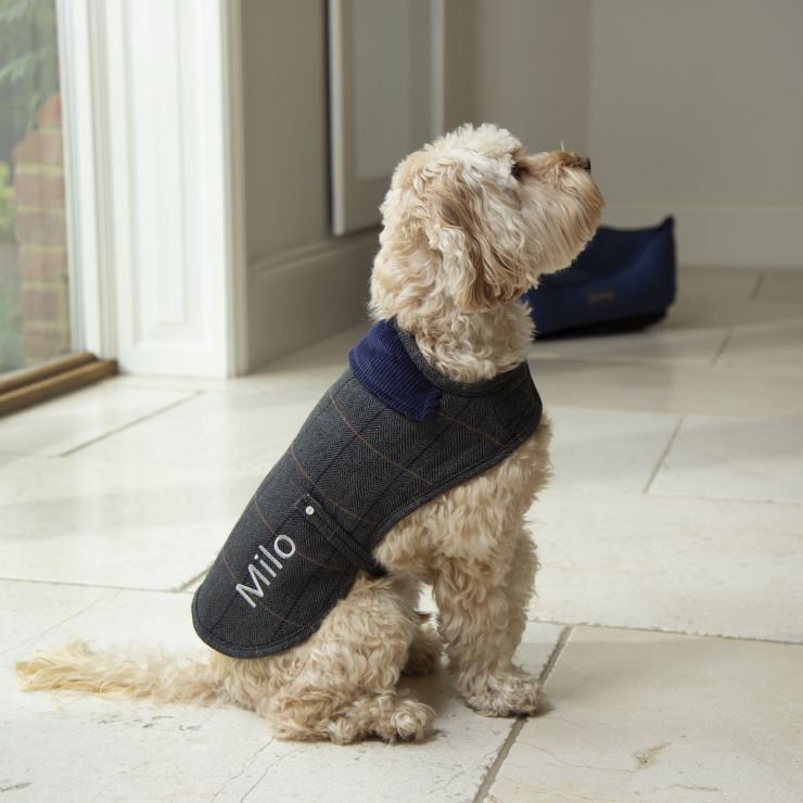 Personalised Tweed Dog Coat - Model