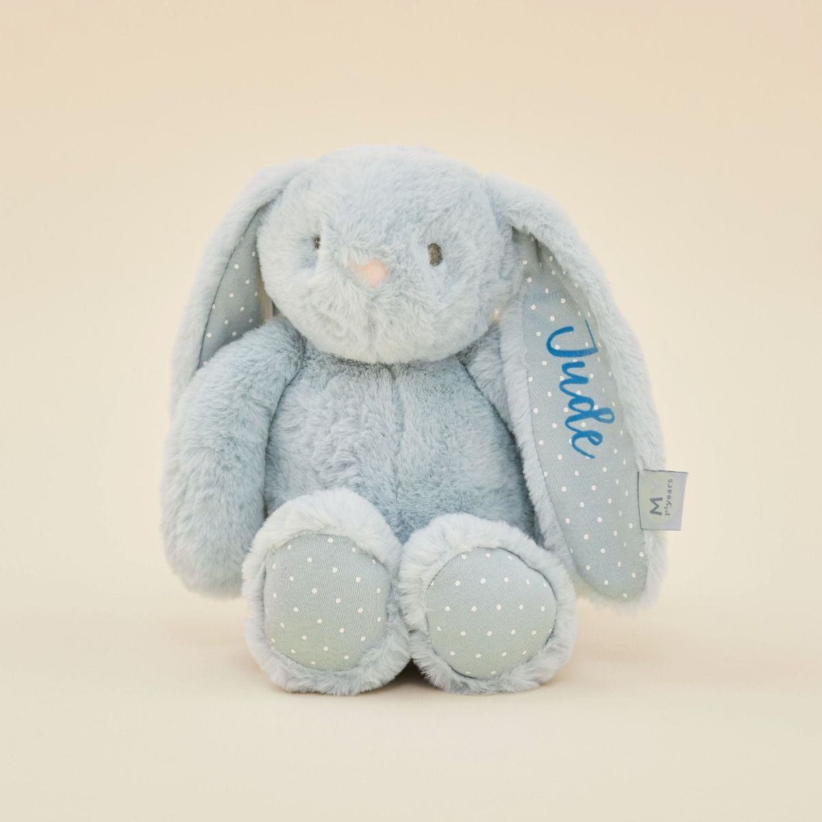 Personalised Blue Bunny Soft Toy
