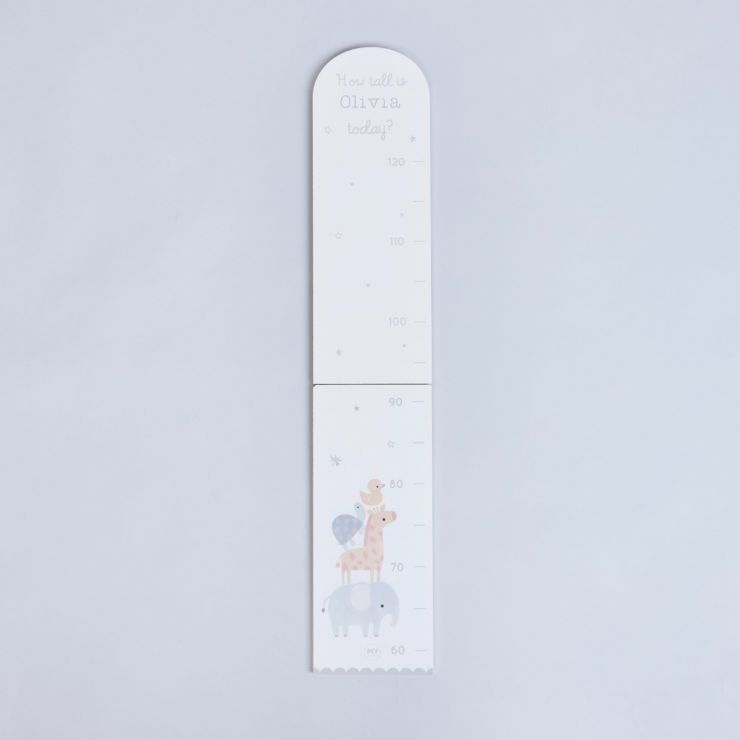 Personalised Welcome to the World Height Chart