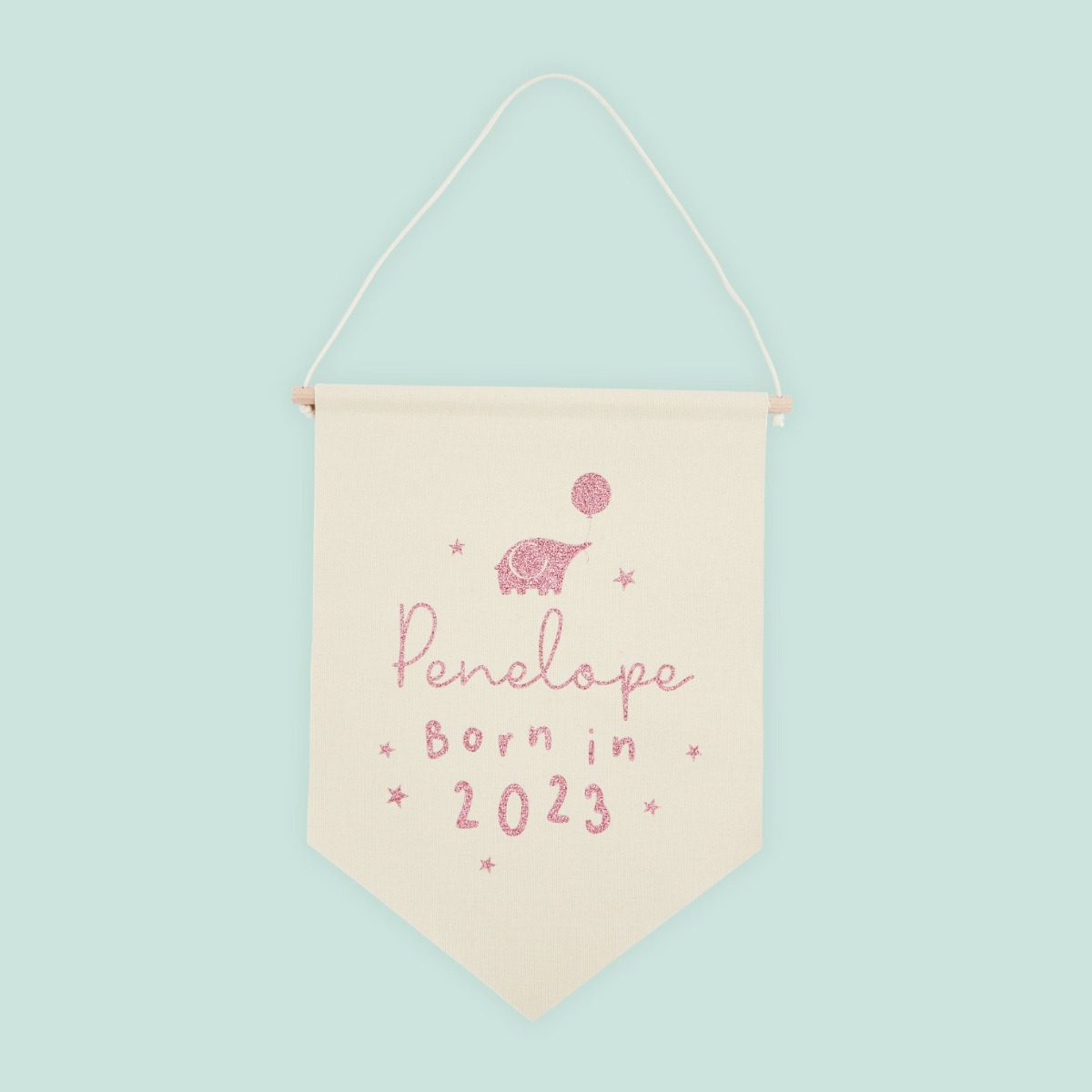 Personalised Born in 2023 Pink Wall Hanging