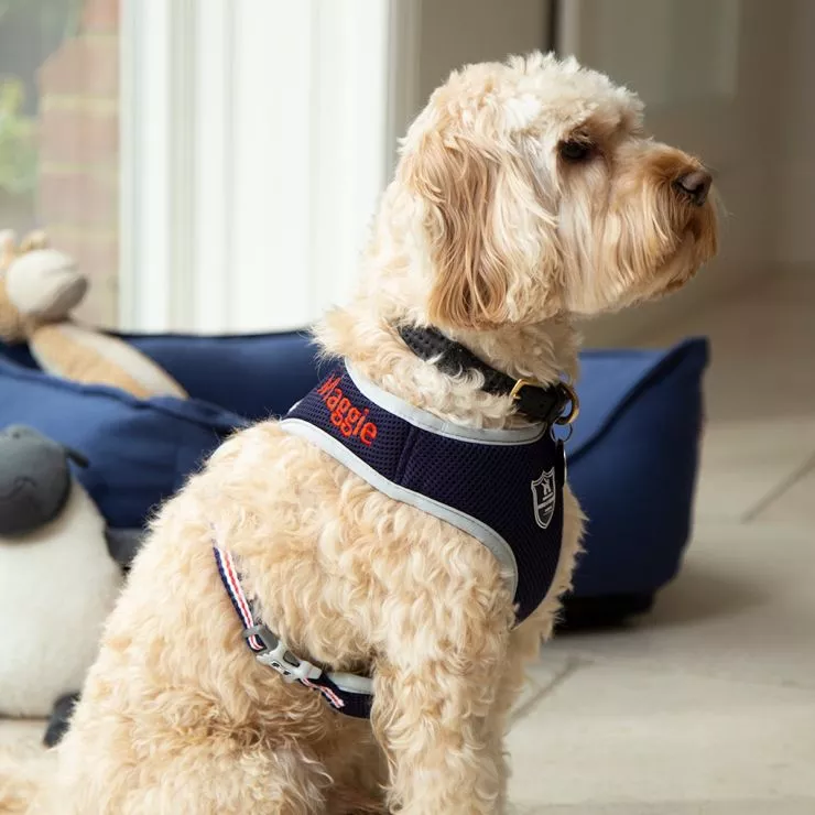 Personalised Mesh Dog Harness - Model