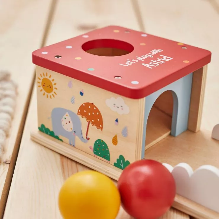 Personalised Wooden Drop Box Toy