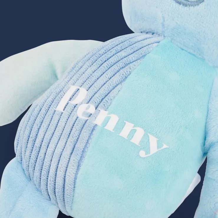 Personalised Igglepiggle Talking Toy