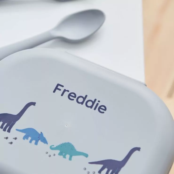 Personalised Grey Dinosaur Design Lunch Box