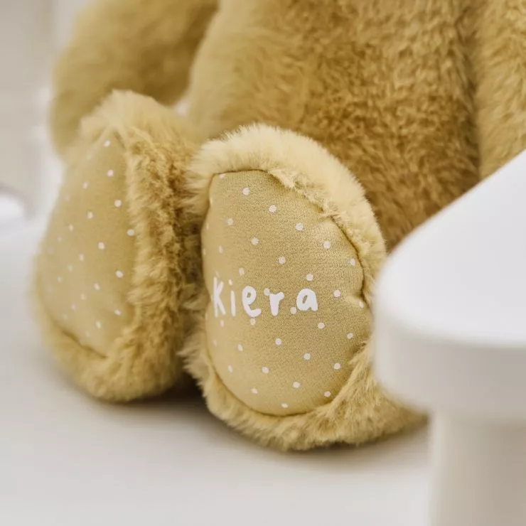 Personalised Classic Teddy Bear Plush Toy