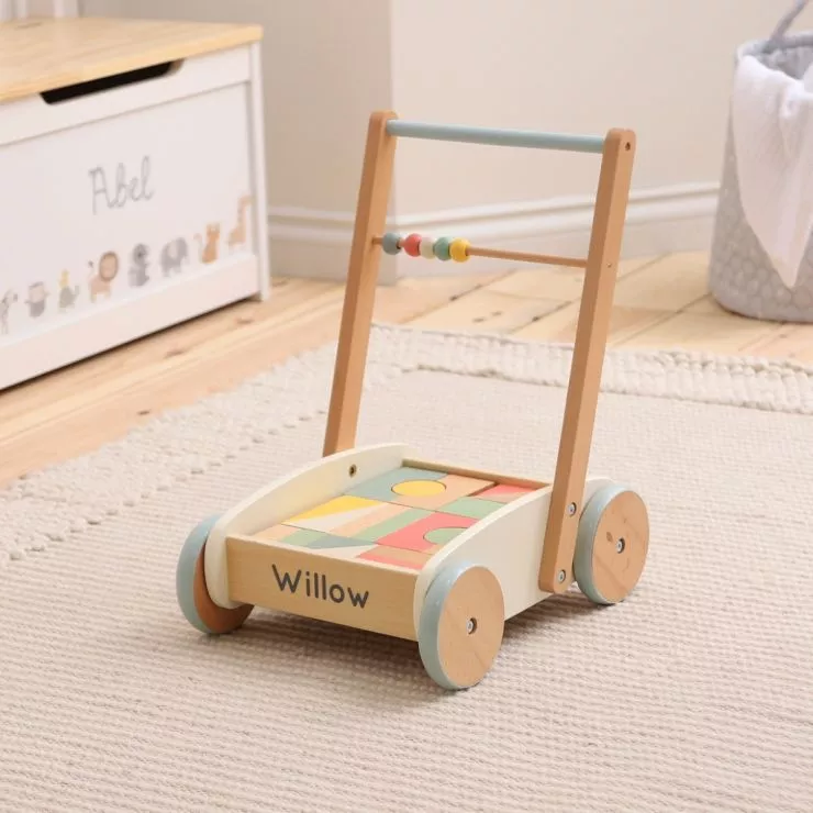 Personalised Push-Along Activity Walker With Blocks