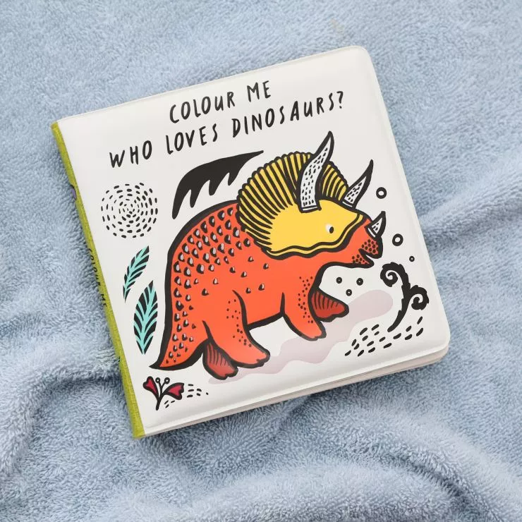 Who Loves Dinosaurs? Colour Changing Bath Book