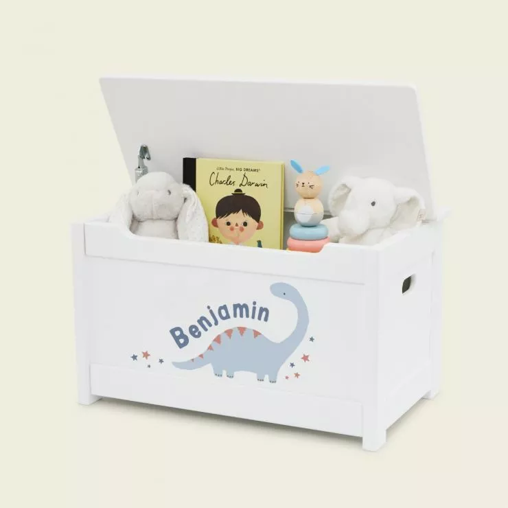 Personalised White One Dinosaur Design Panelled Toy Box