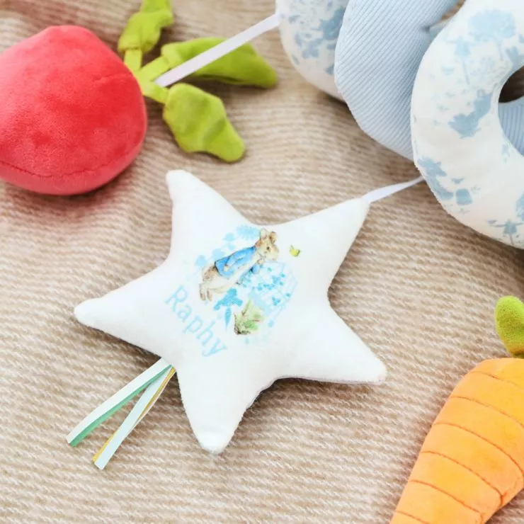 Personalised Peter Rabbit Spiral Toy