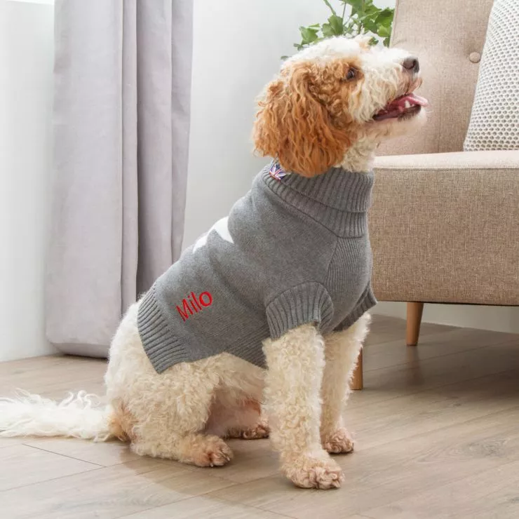 Personalised Star Intarsia Knitted Pet Jumper Grey