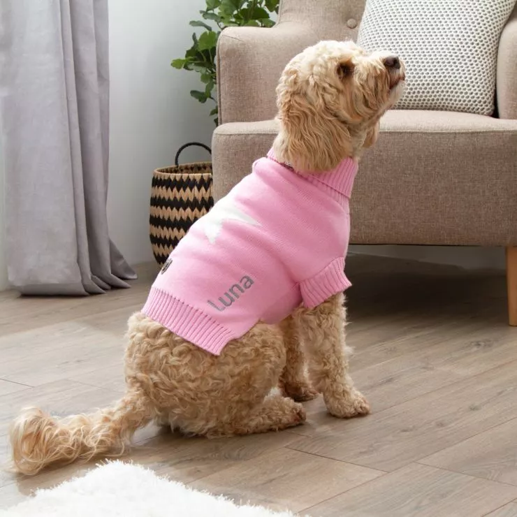 Personalised Star Intarsia Knitted Pet Jumper Pink